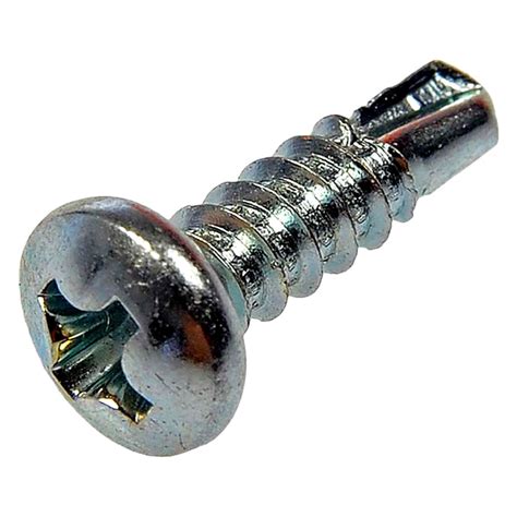 Chrome self tapping screws